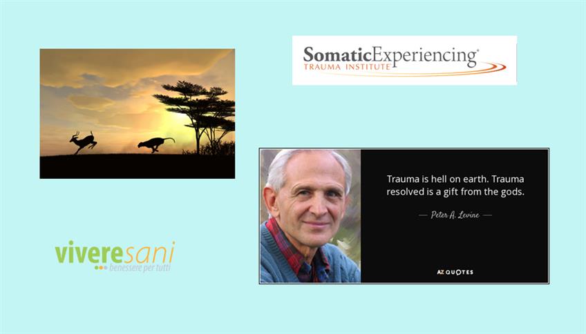 Somatic Experiencing Somatic Experiencing